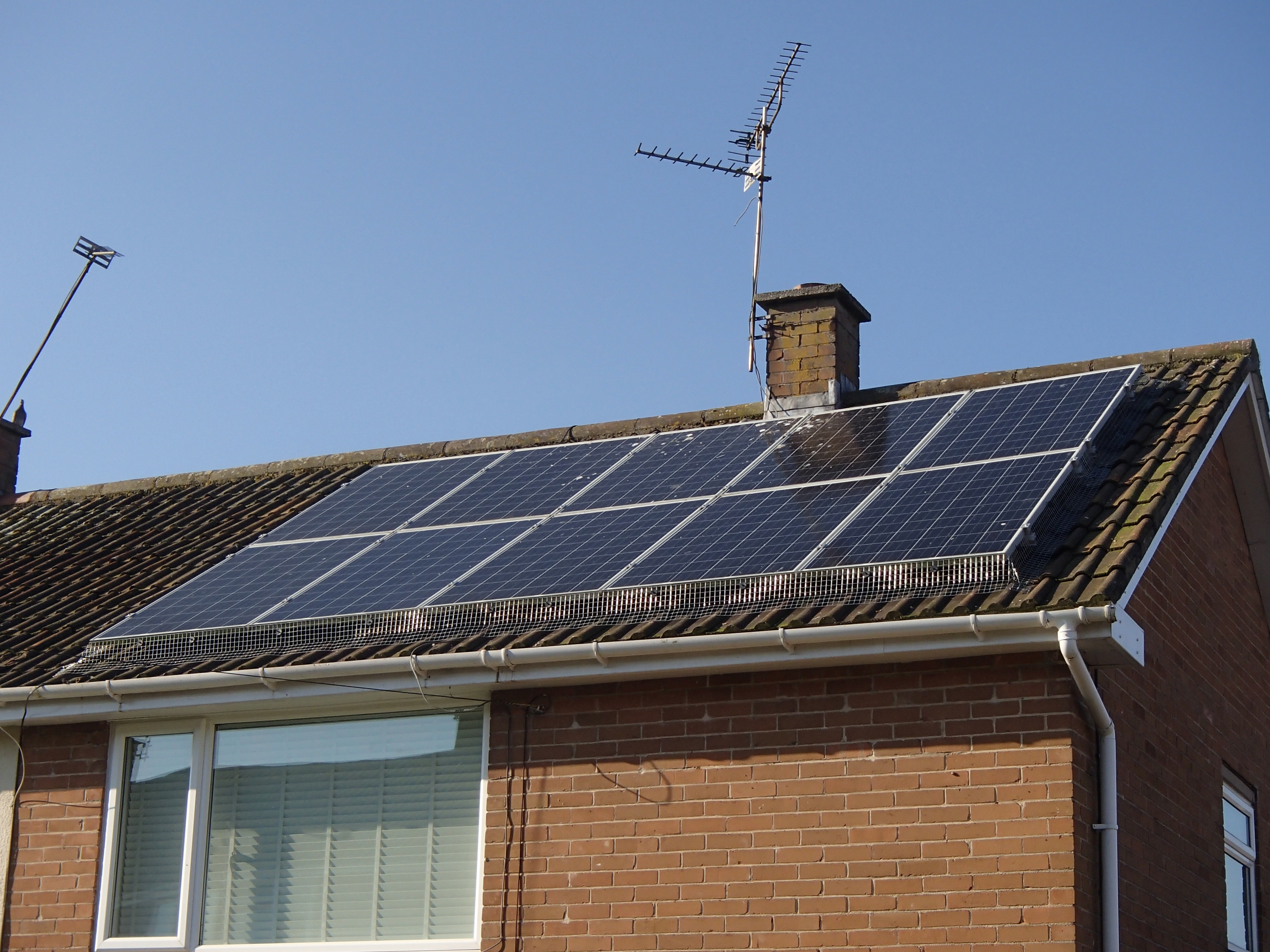 Proofing solar panels from pigeons Vale Pest Control